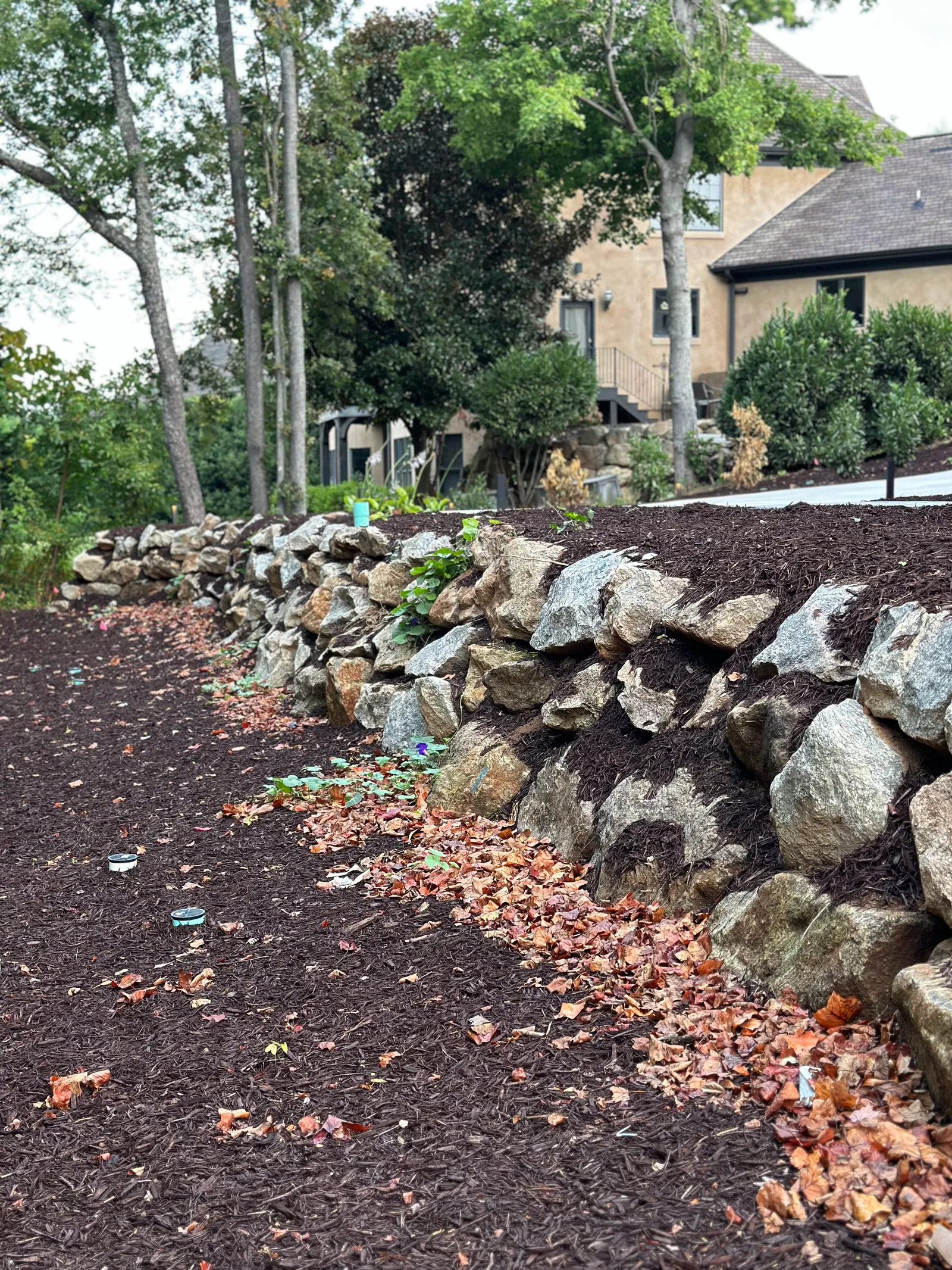 Long dry-stacked natural boulder retaining wall bordering a freshly mulched planting bed