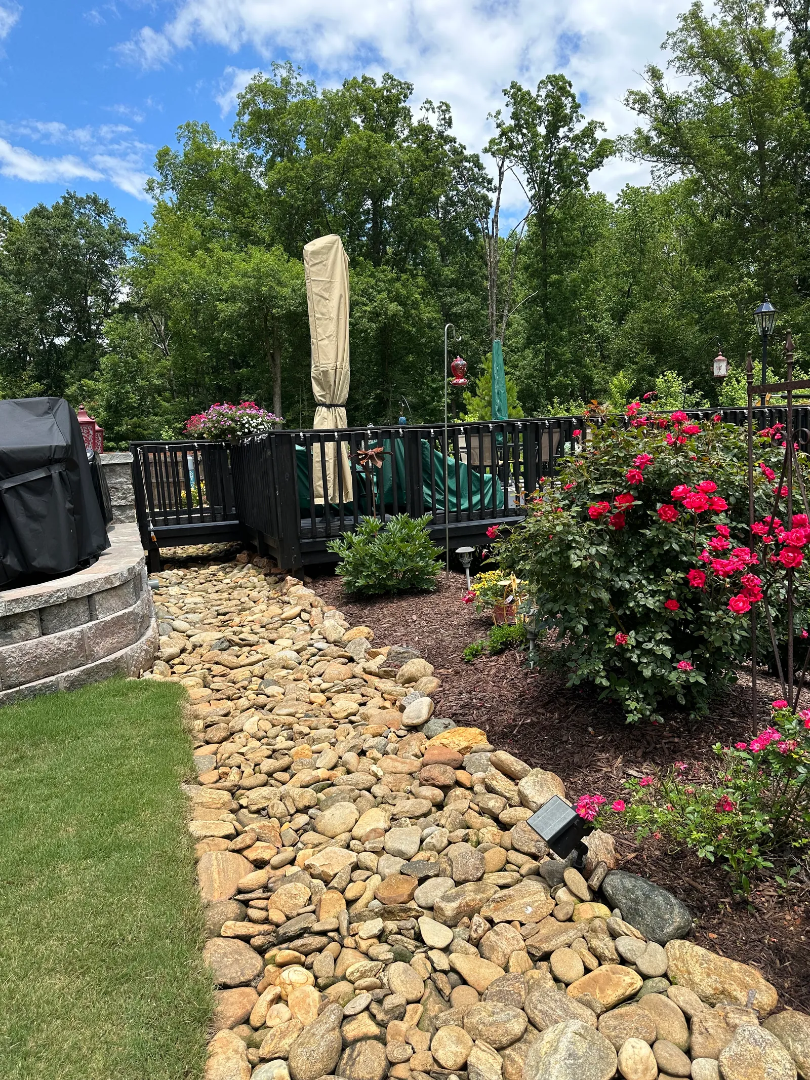 River-rock drainage bed beside a flowering rose bush and landscape lighting fixture