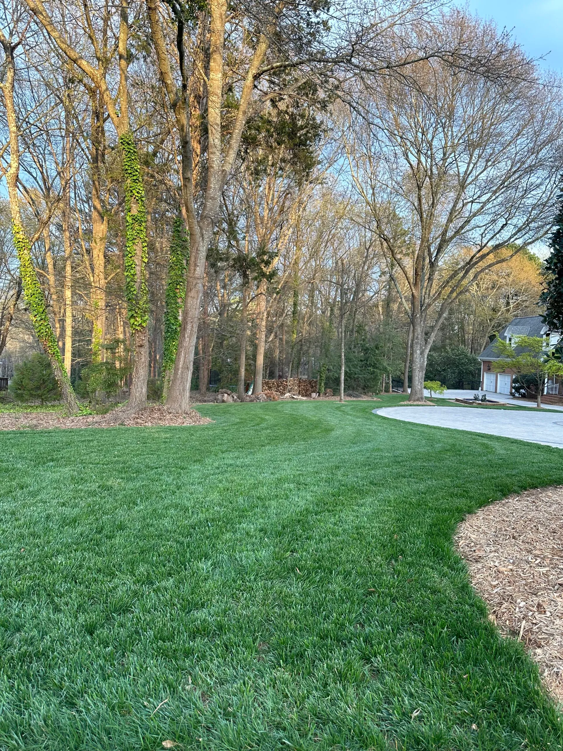 Freshly sodded lawn bordering a curved paver driveway at dusk