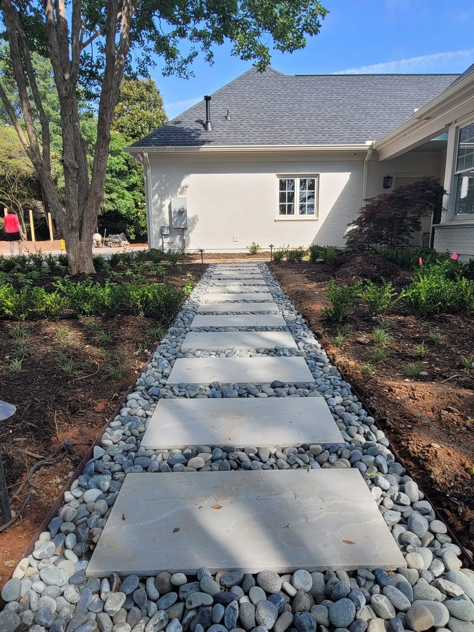 Garden planting bed with mulch and new shrubs